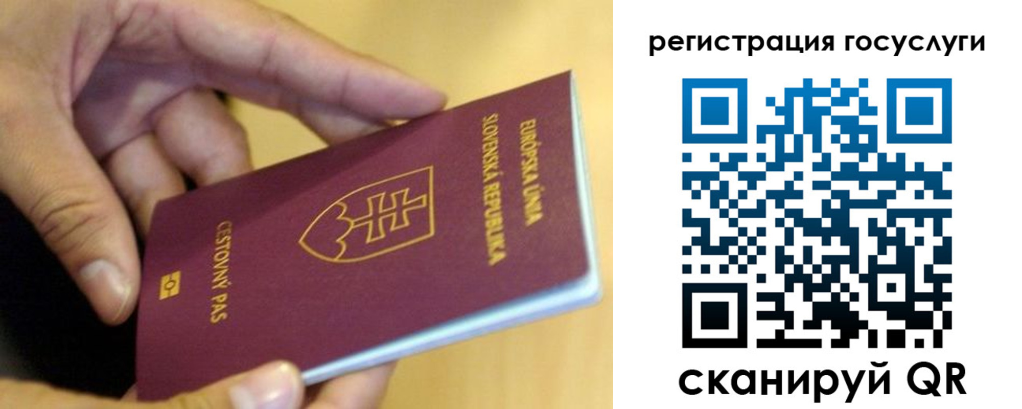 прописка в квартире в Ясногорске